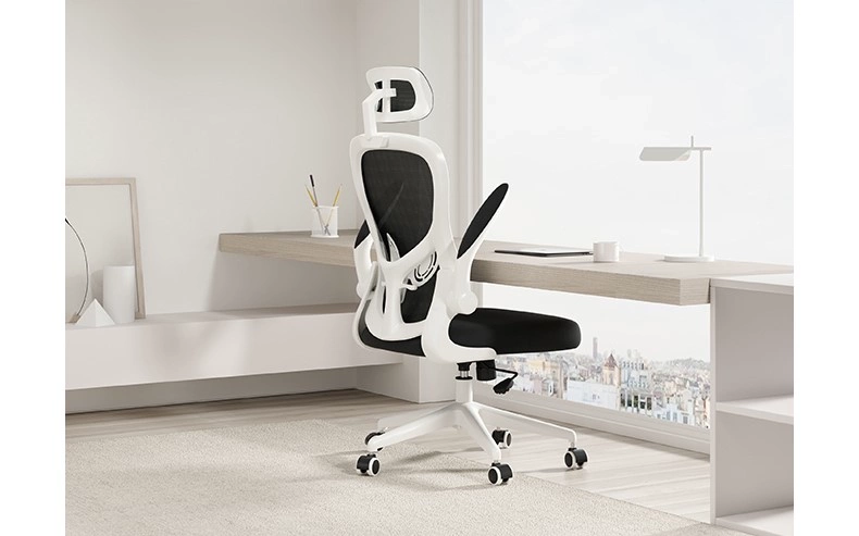 Hướng dẫn chọn ghế công thái học đúng chuẩn, bảo vệ sức khỏe Hướng dẫn chọn ghế công thái học đúng chuẩn, bảo vệ sức khỏe